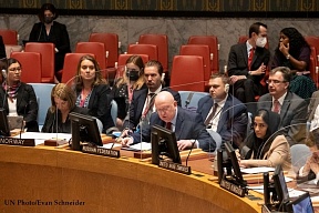 отрывок из выступления Постоянного представителя РФ В.А.Небензи на заседании Совета Безопасности ООН по теме «Защита гражданских лиц в условиях вооруженного конфликта»